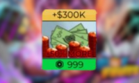300k Money