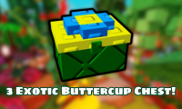 3 Exotic Buttercup Chest!
