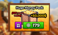Huge Money Pack