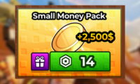 Small Money Pack