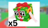 x5 Festive Lucky Block